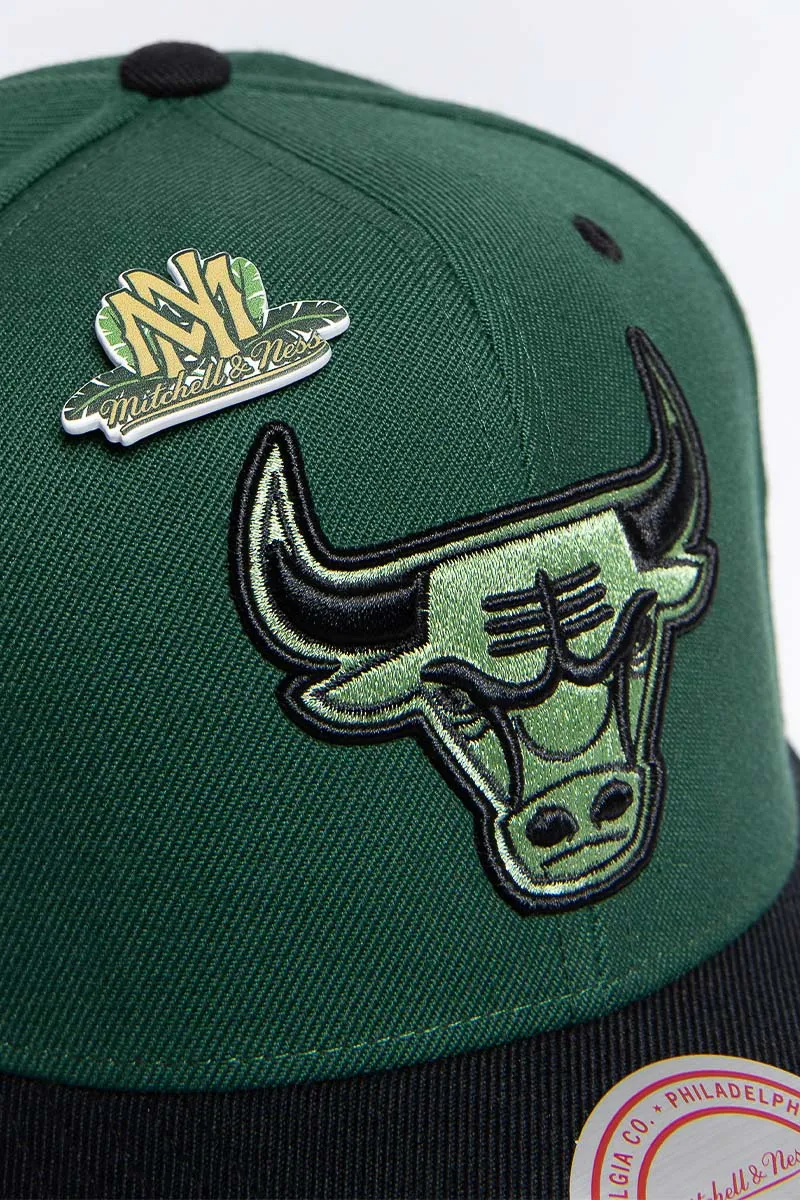 Chicago Bulls Urban Jungle Giants Snapback | Green & Black