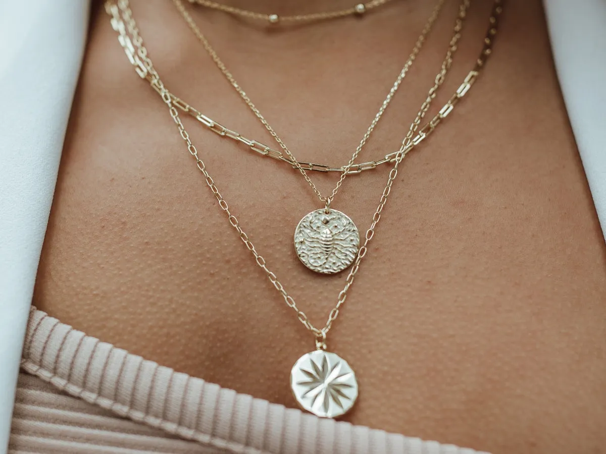 Pisces Zodiac Coin Necklace