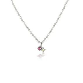 Twin Birthstone Necklace